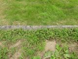image of grave number 683557